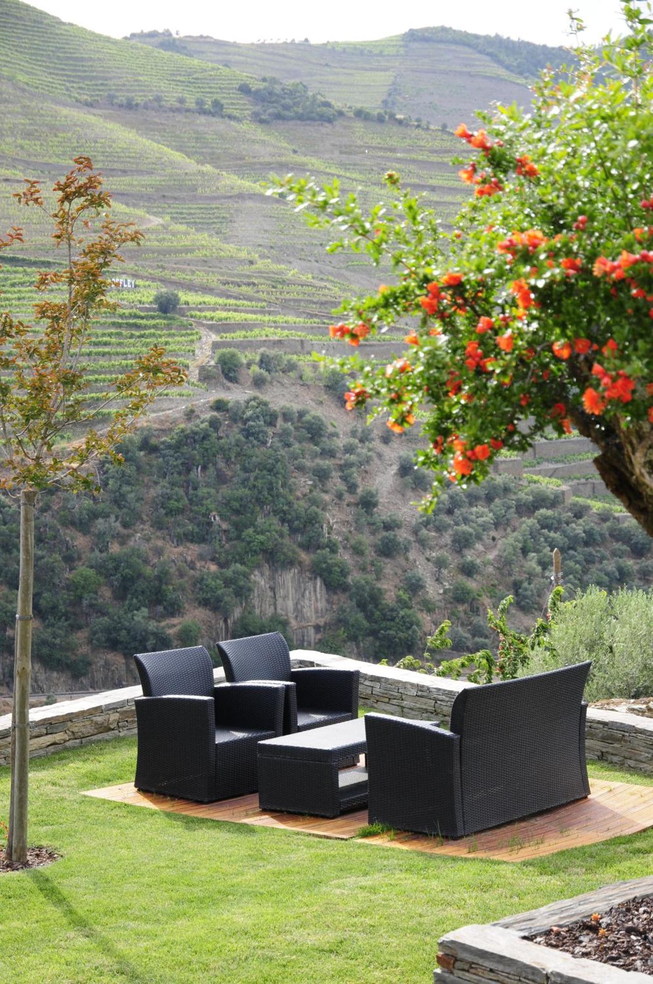 Hotel Rural Quinta Do Pego Tabuaço Esterno foto